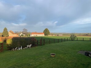 Un paysage rural avec un champ d’herbe, une clôture en bois et quelques moutons.