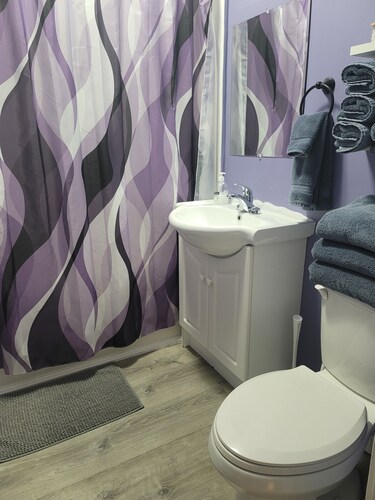 Northside Comfort 2 !!! Pet Friendly Budget Rental Close to HSC and The Forks