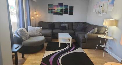 Northside Comfort 2 !!! Pet Friendly Budget Rental Close to HSC and The Forks