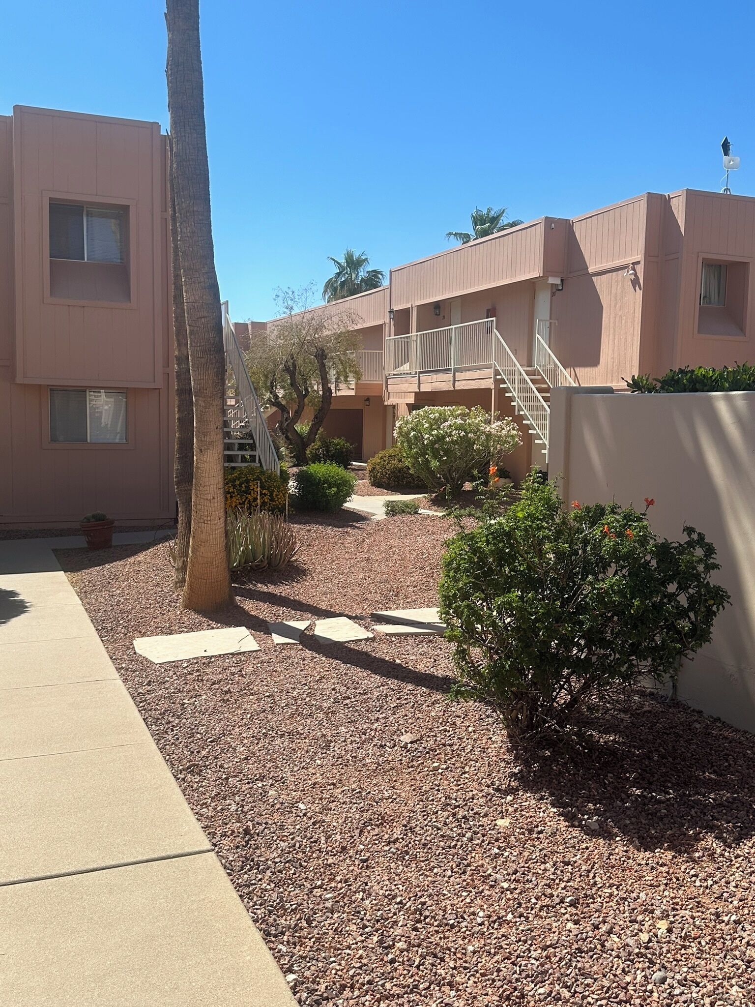A residential area with multi-story buildings, a palm tree, and a gravel pathway.