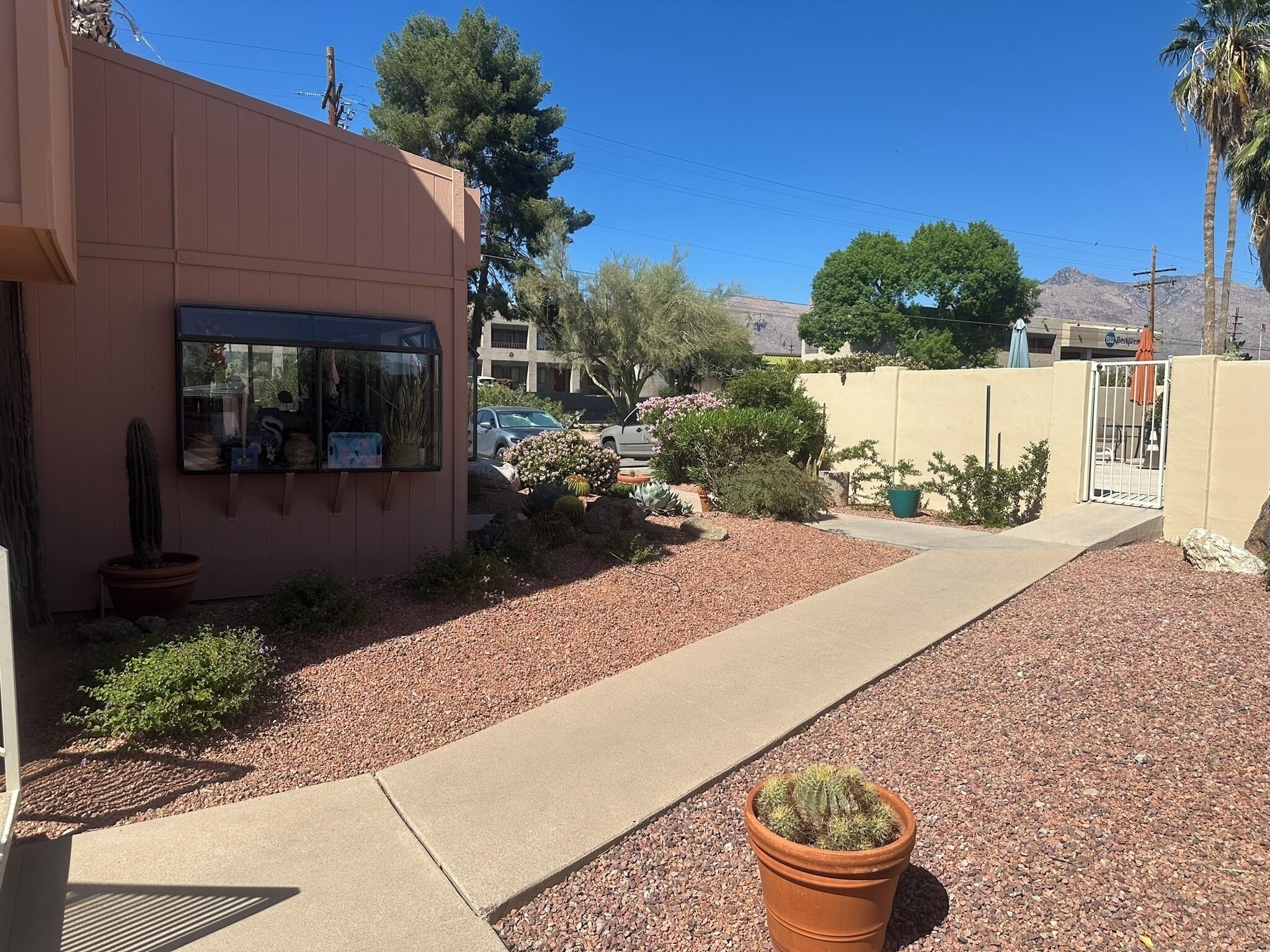 A building with a window displaying plants, a gravel pathway, and a cactus in a pot.