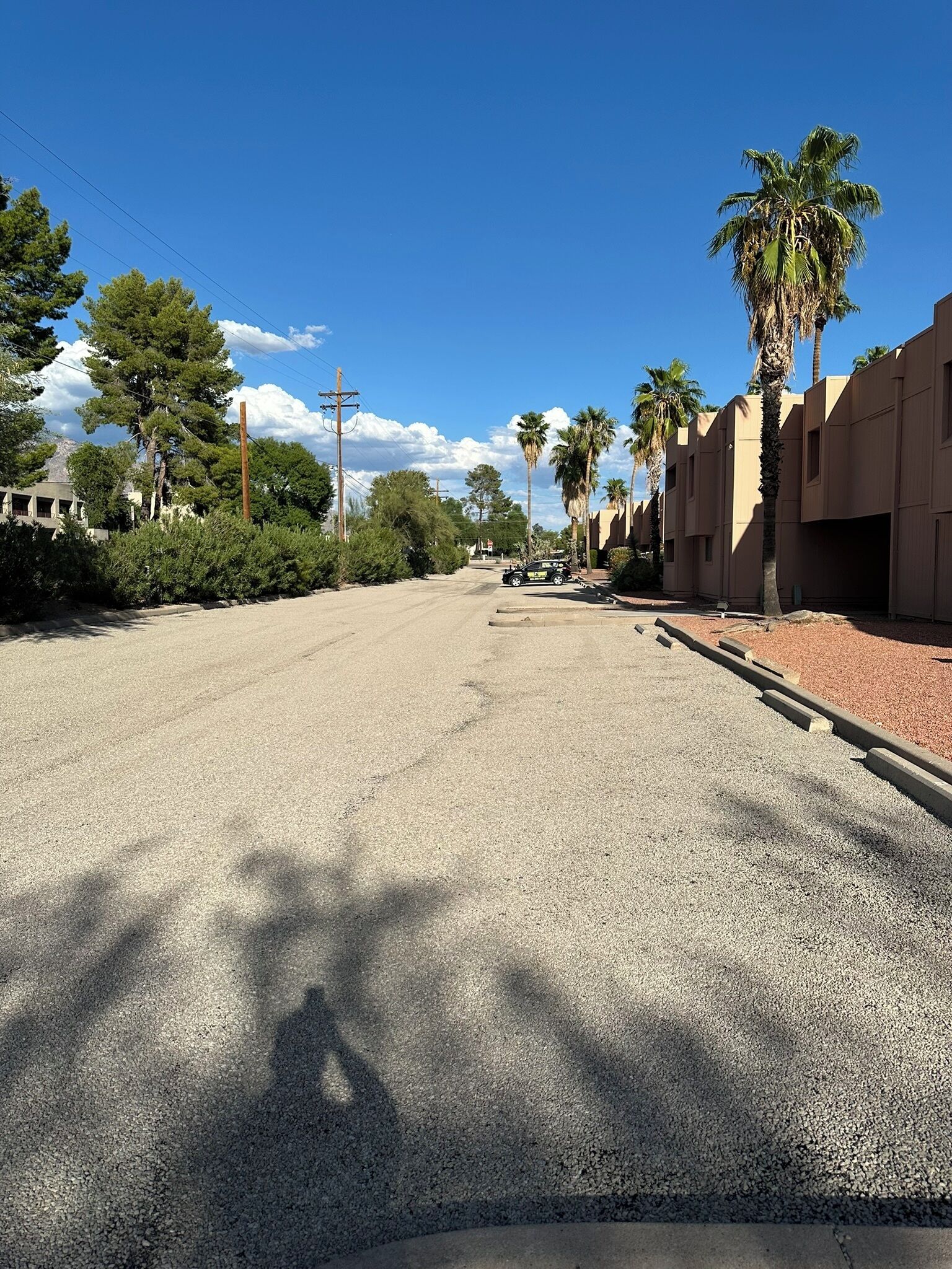 Una calle tranquila con palmeras, un edificio de fachada color crema y un cielo azul despejado.