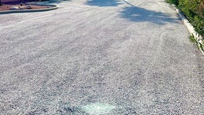 Une rue bordée de palmiers, un immeuble doté d’un toit plat et des poteaux électriques.