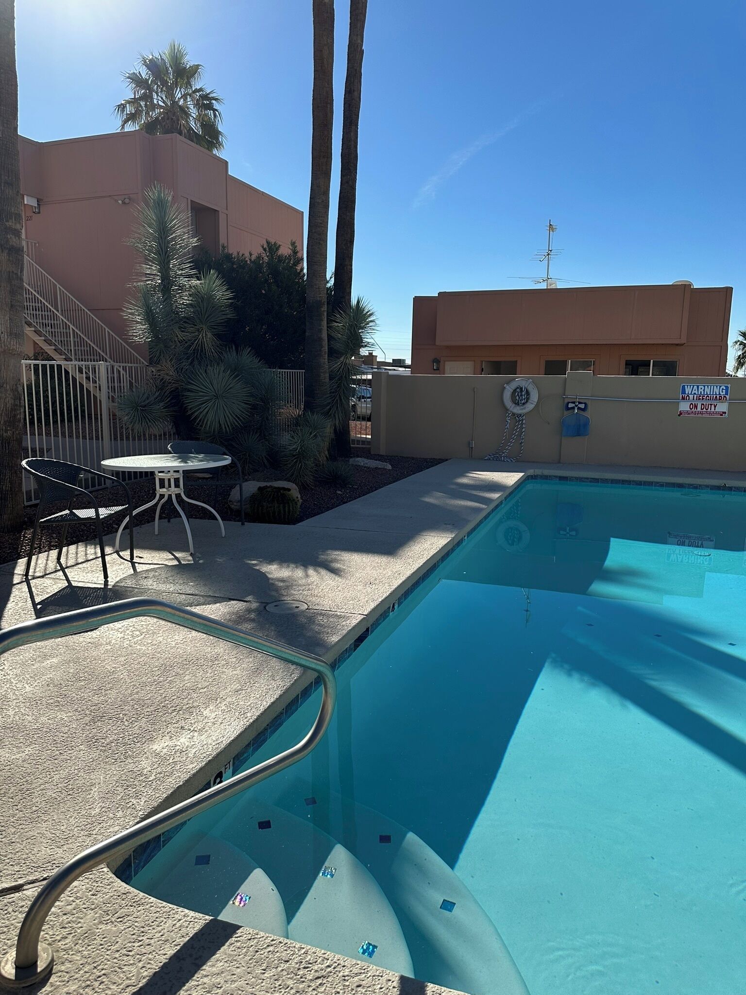 A swimming pool with a metal safety railing, a small table and chairs, and a palm tree.