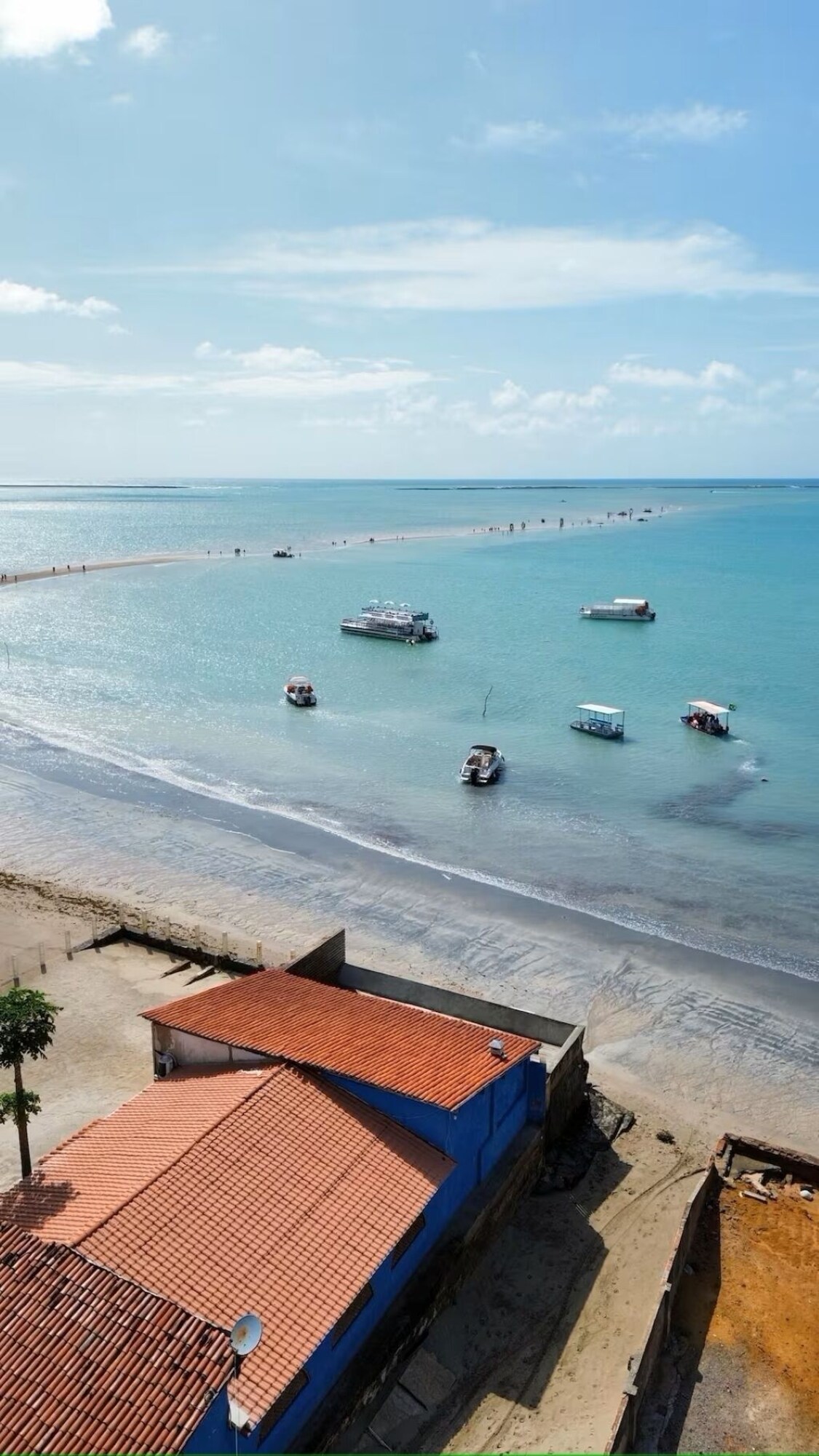 Imagen de perfil del propietario o de la propietaria