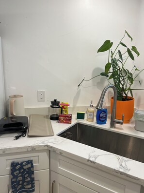 Une cuisine équipée d’un évier, d’une plante, d’une machine à café, d’une boîte de thé et d’une bouteille de liquide vaisselle.