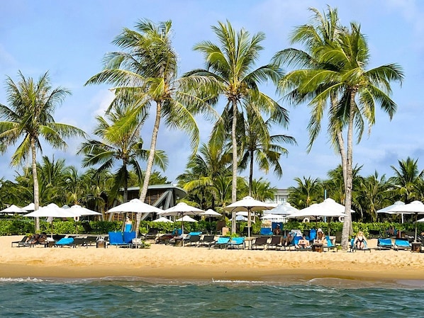 Una playa con palmeras, sillas de descanso y sombrillas.
