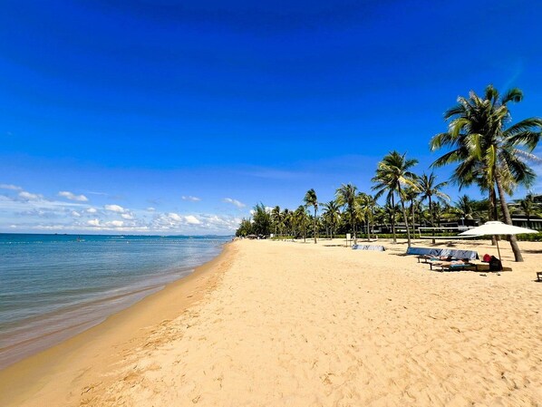 Een strand met palmbomen, een heldere lucht en een kalme zee.