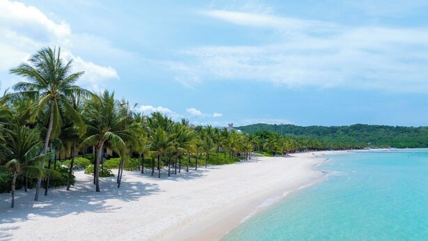 A beach with white sand, clear turquoise water, and palm trees.