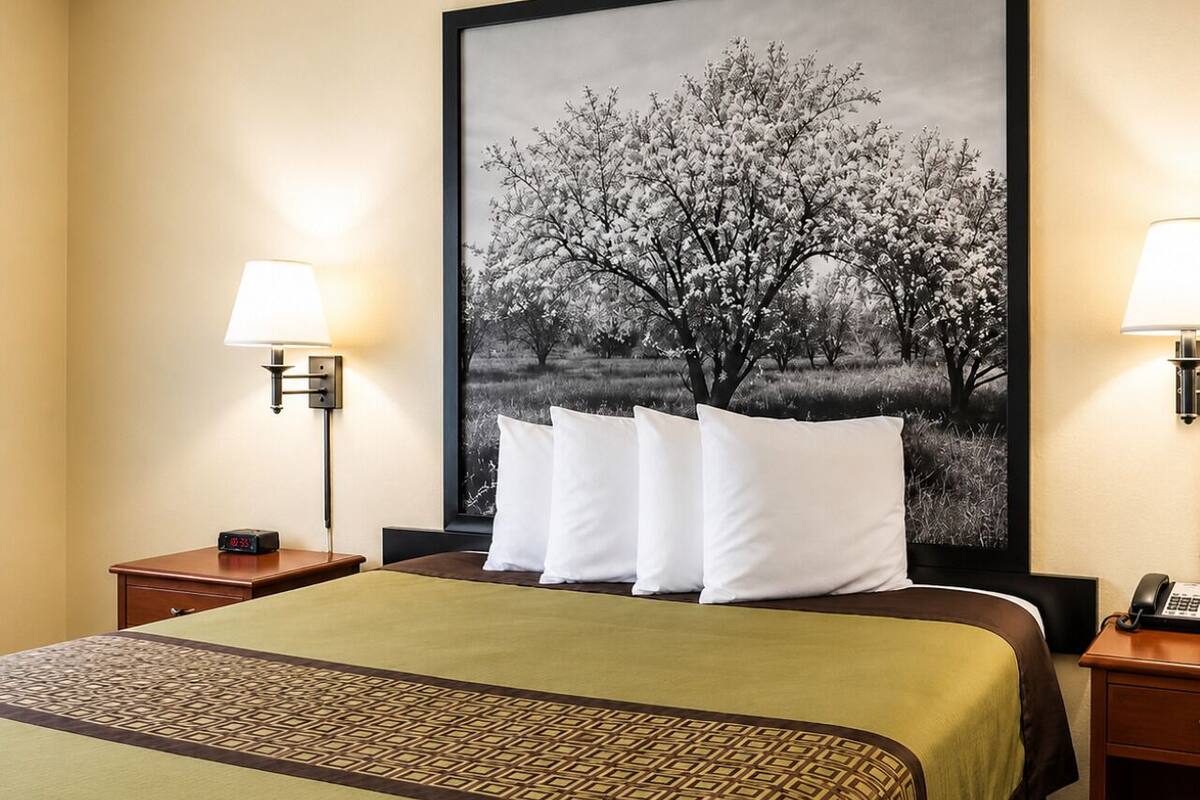 Wifi gratis y ropa de cama 