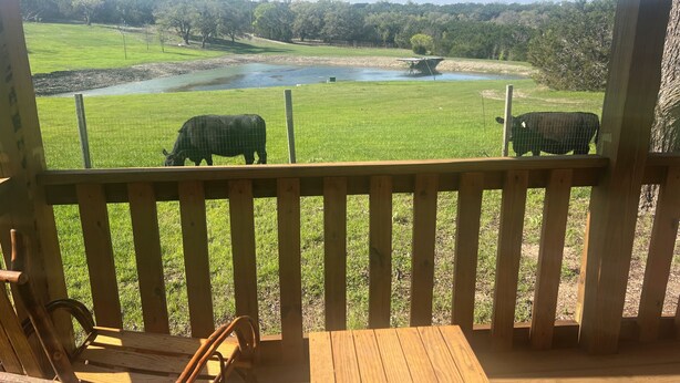 Eine Holzterrasse mit Blick auf ein grasbewachsenes Feld und einen Teich.