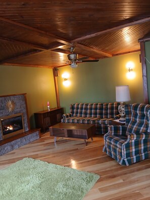 Living area - Cozy 1-bedroom house in peaceful Boyne City with amazing lake & Mountain views (Boyne City)