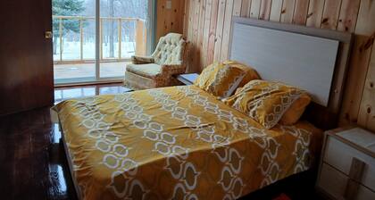 Cozy 1-bedroom house in peaceful Boyne City with amazing lake & Mountain views