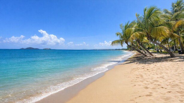 Ein Strand mit klarem türkisblauem Wasser, sandigem Ufer und Palmen.