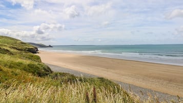 A beach with a clear sky, grassy areas, and a sandy shore.