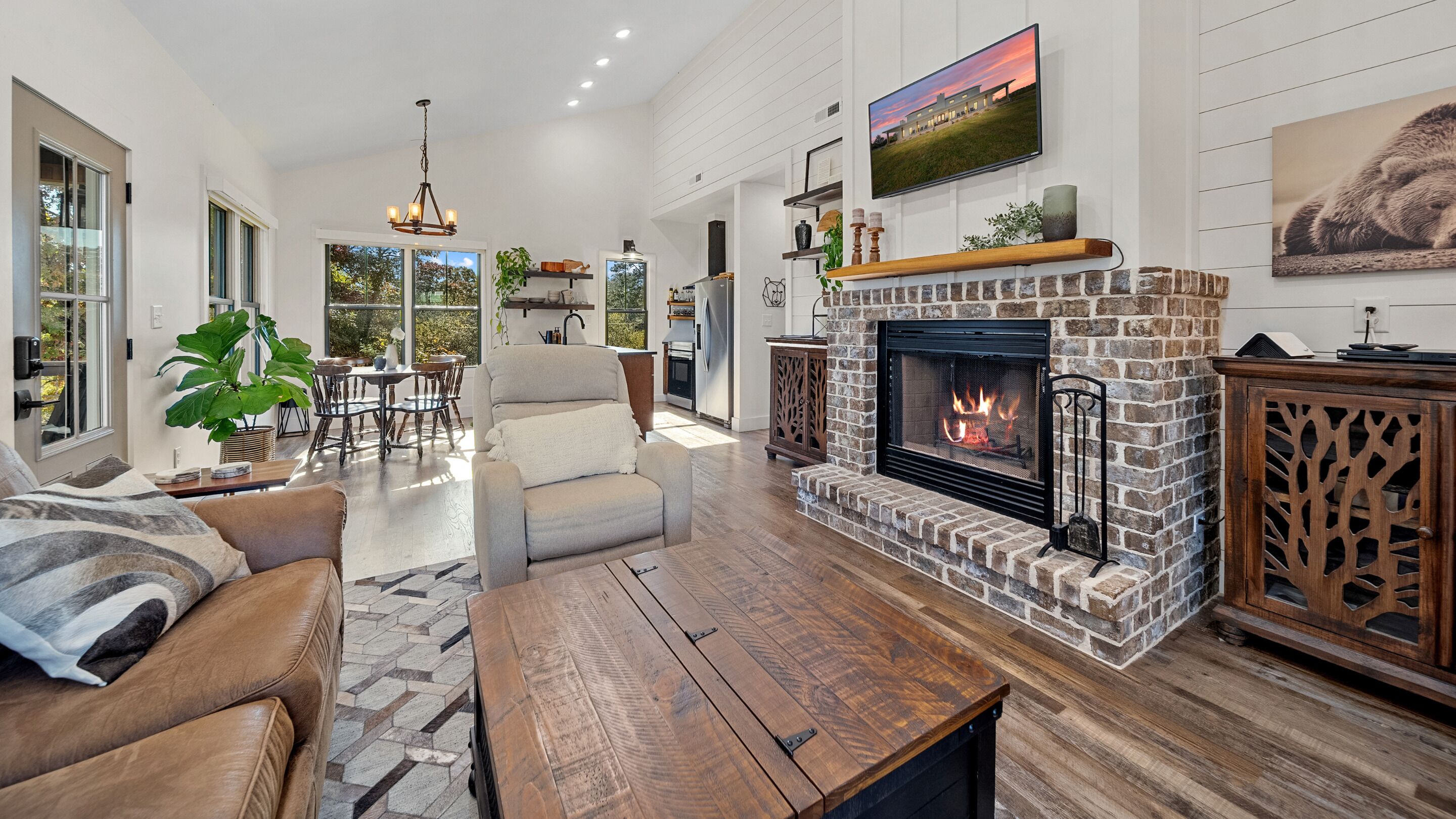 Smart TV, fireplace, DVD player, books