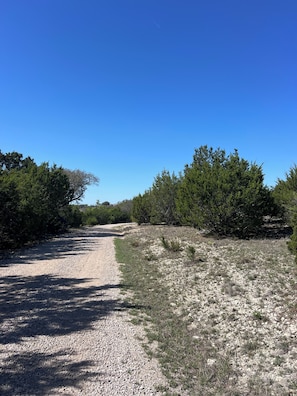 Un sendero de grava que serpentea por un paisaje natural con árboles densos a ambos lados.