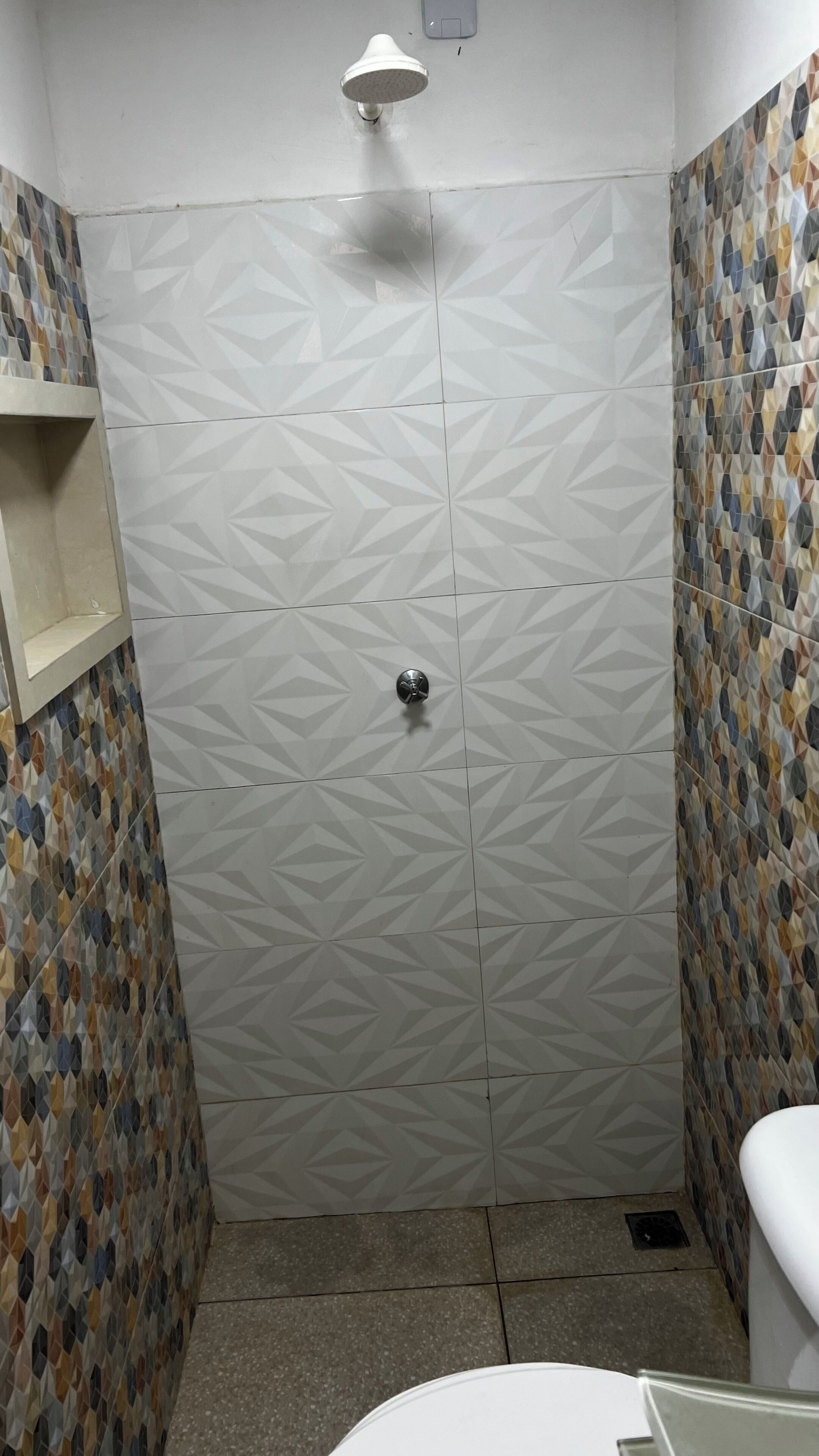 Douchegedeelte met een geometrisch tegelpatroon, een douchekop en een toilet.