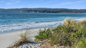 Uma praia com água cristalina, areal arenoso e vegetação.