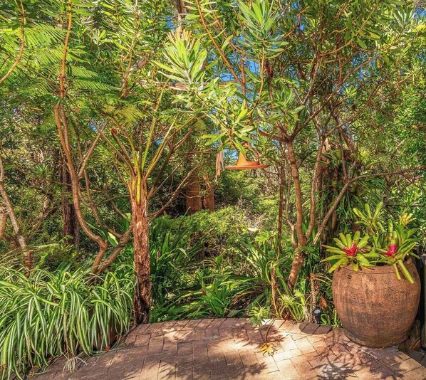 Property grounds - Serenity, Hyams Beach (Hyams Beach)