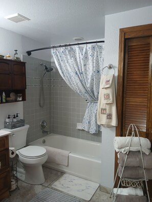 Hair dryer, towels, soap, shampoo