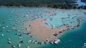 Beach - Houghton Lake - White Pine Haven, 2 Dogs OK (Houghton Lake)