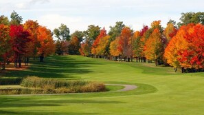 Golf - Houghton Lake - White Pine Haven, 2 Dogs OK (Houghton Lake)