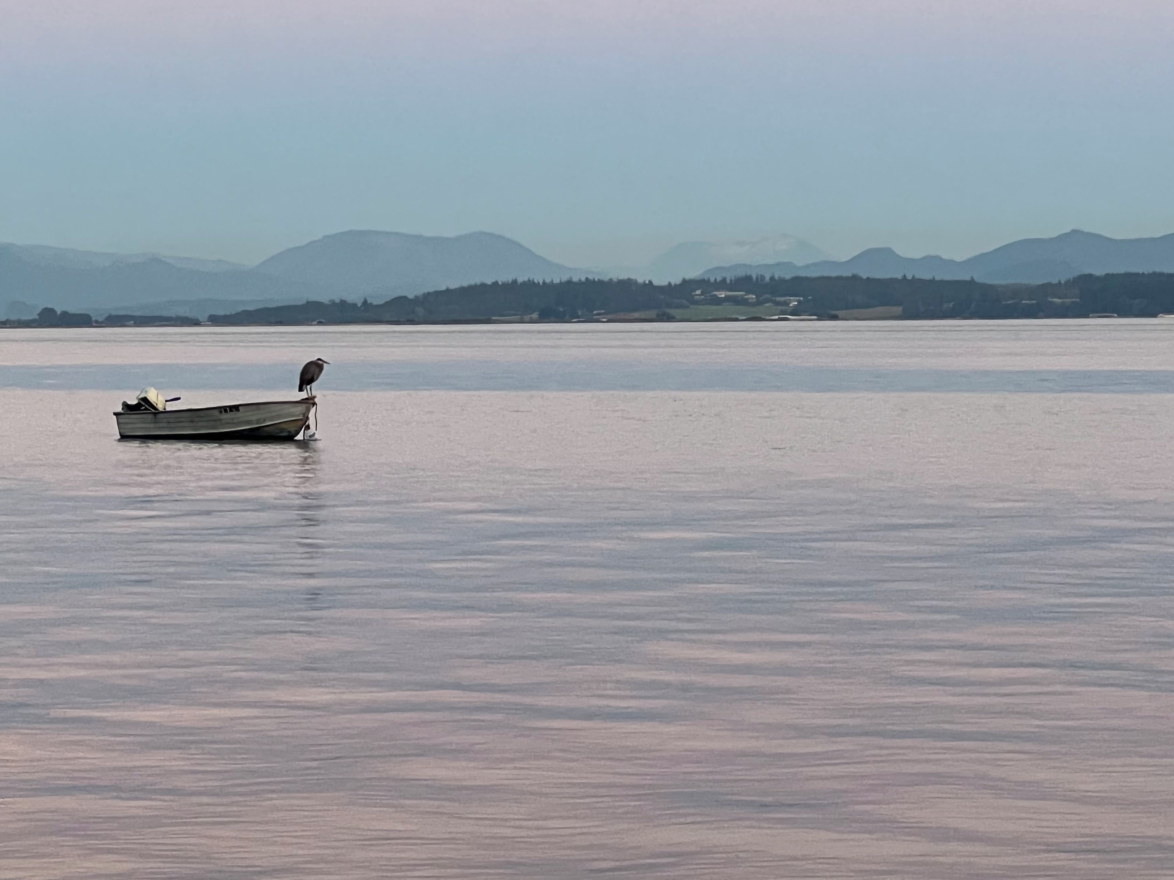 A small boat on calm water with a mountain range in the background.