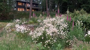Una casa rodeada de un jardín con flores blancas y rosadas, árboles altos y un muro de piedra.
