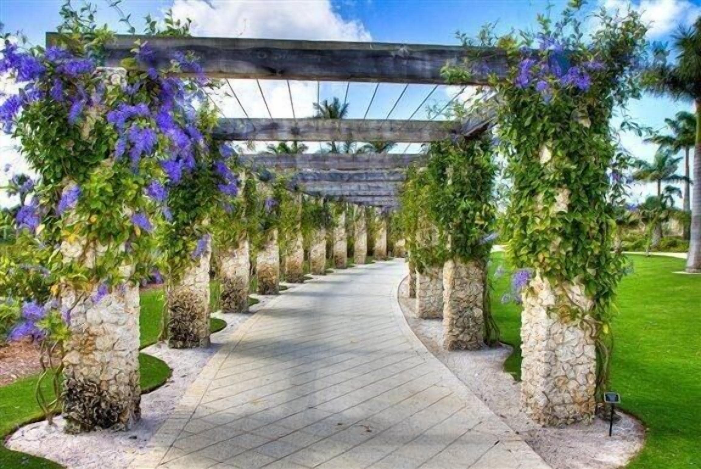 A pathway under a wooden pergola with climbing plants.