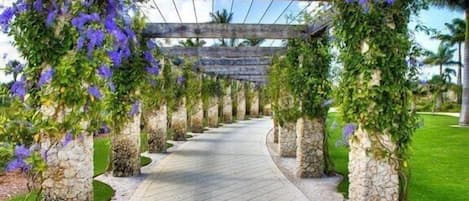 A pathway under a wooden pergola with climbing plants.