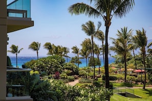 Ein Resort mit Blick auf den Ozean, Palmen und einem gepflegten Garten.