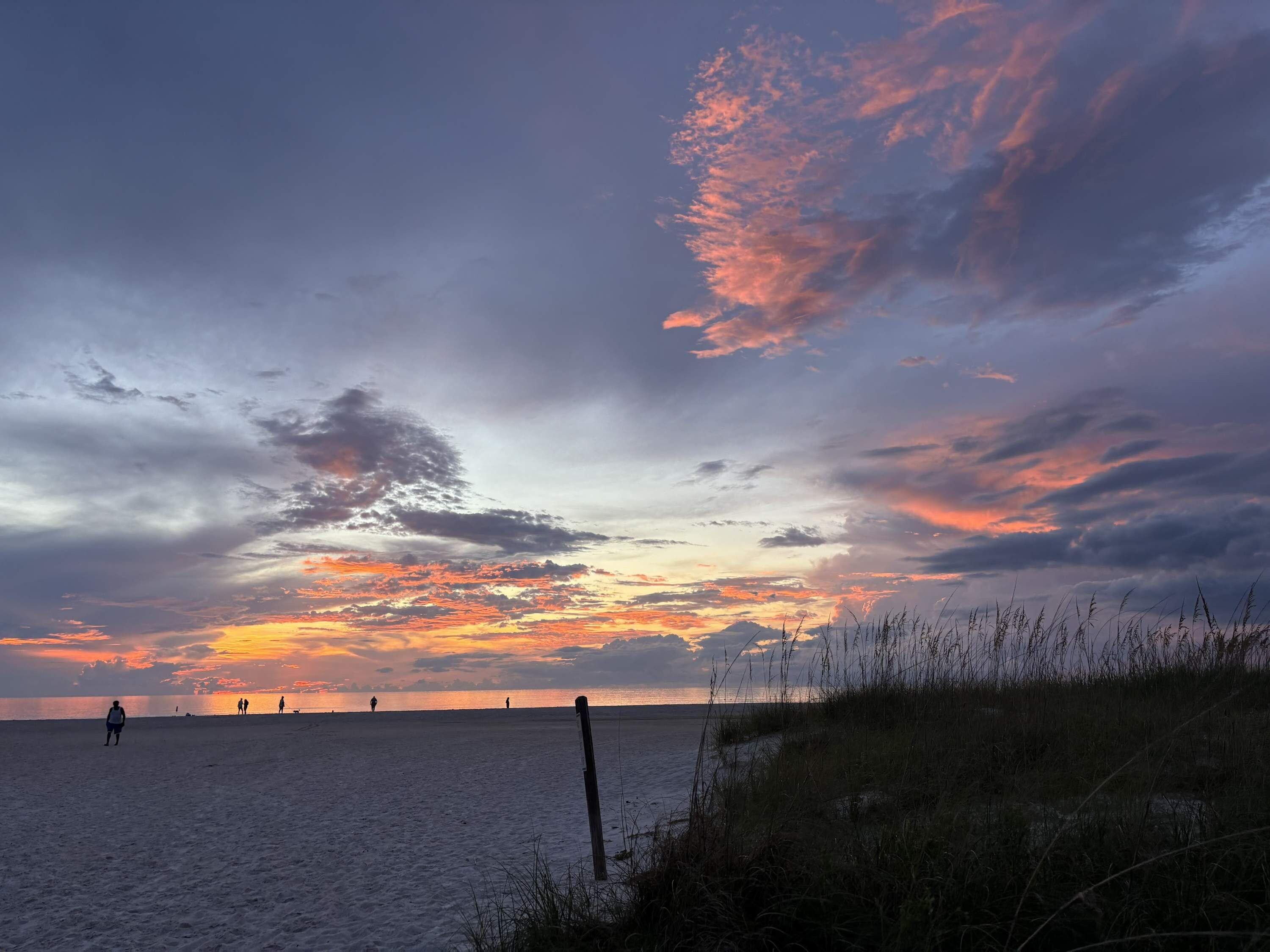 A beach scene with a sunset, silhouettes of people, and a grassy foreground.