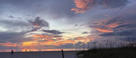 A beach scene with a sunset, silhouettes of people, and a grassy foreground.