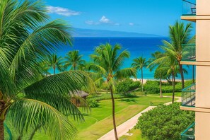 Un complexe hôtelier tropical offrant une vue sur l’océan, avec des palmiers et un sentier menant à la plage.