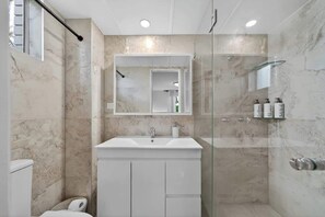 Chuveiro, secador de cabelo, shampoo 