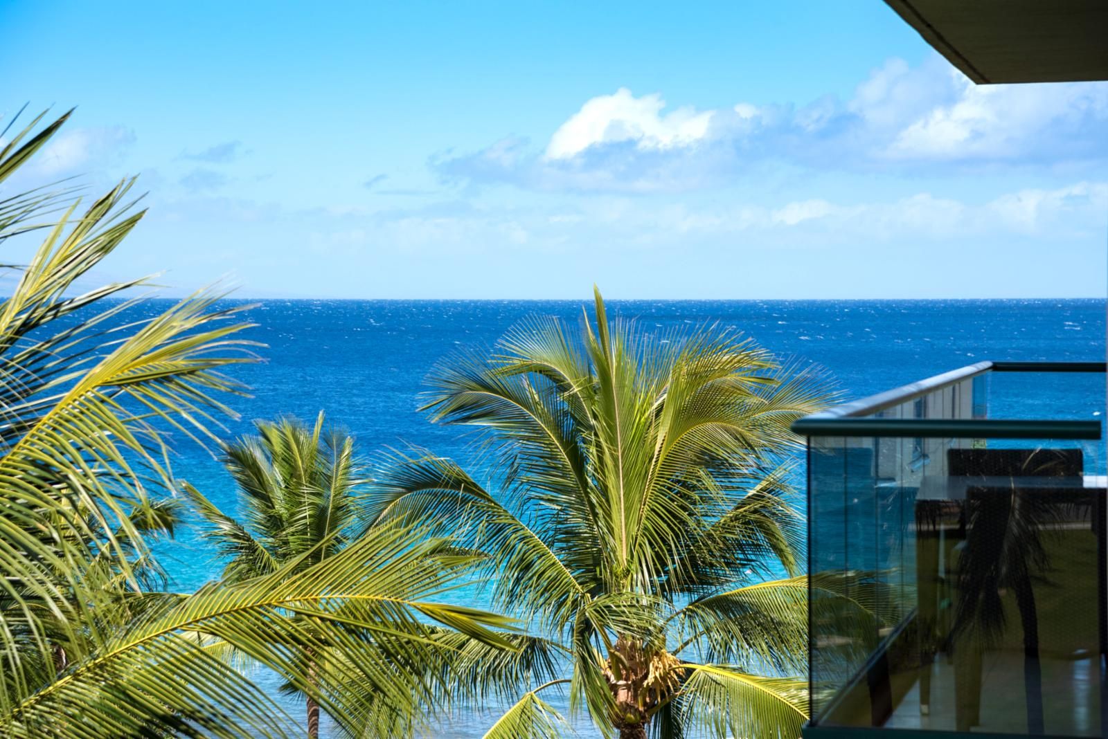 A view of the ocean from a balcony with palm trees in the foreground.