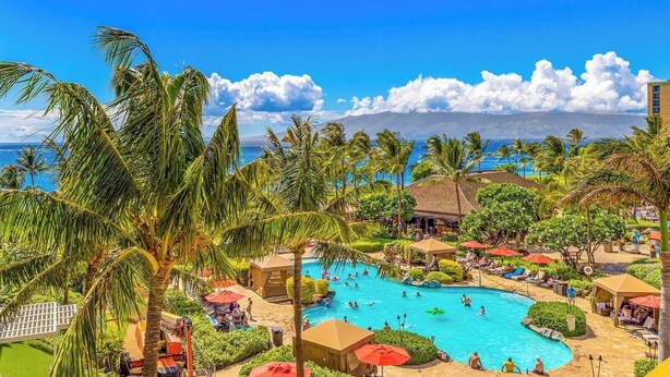 Un resort con una piscina grande, palmeras y vista al océano.