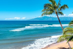 A beach with clear blue water, waves, and a palm tree. - KBM Resorts | 3 FREE CARS | Honua Kai Hokulani | Ocean view | 7-Bedroom Multi-Unit Listing Recently Remodeled! HK ML-2930 (Lahaina)