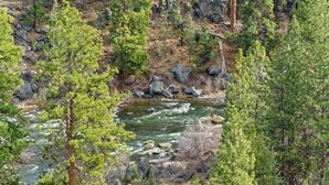 Paisaje natural con un río, rodeado de árboles y terreno rocoso.