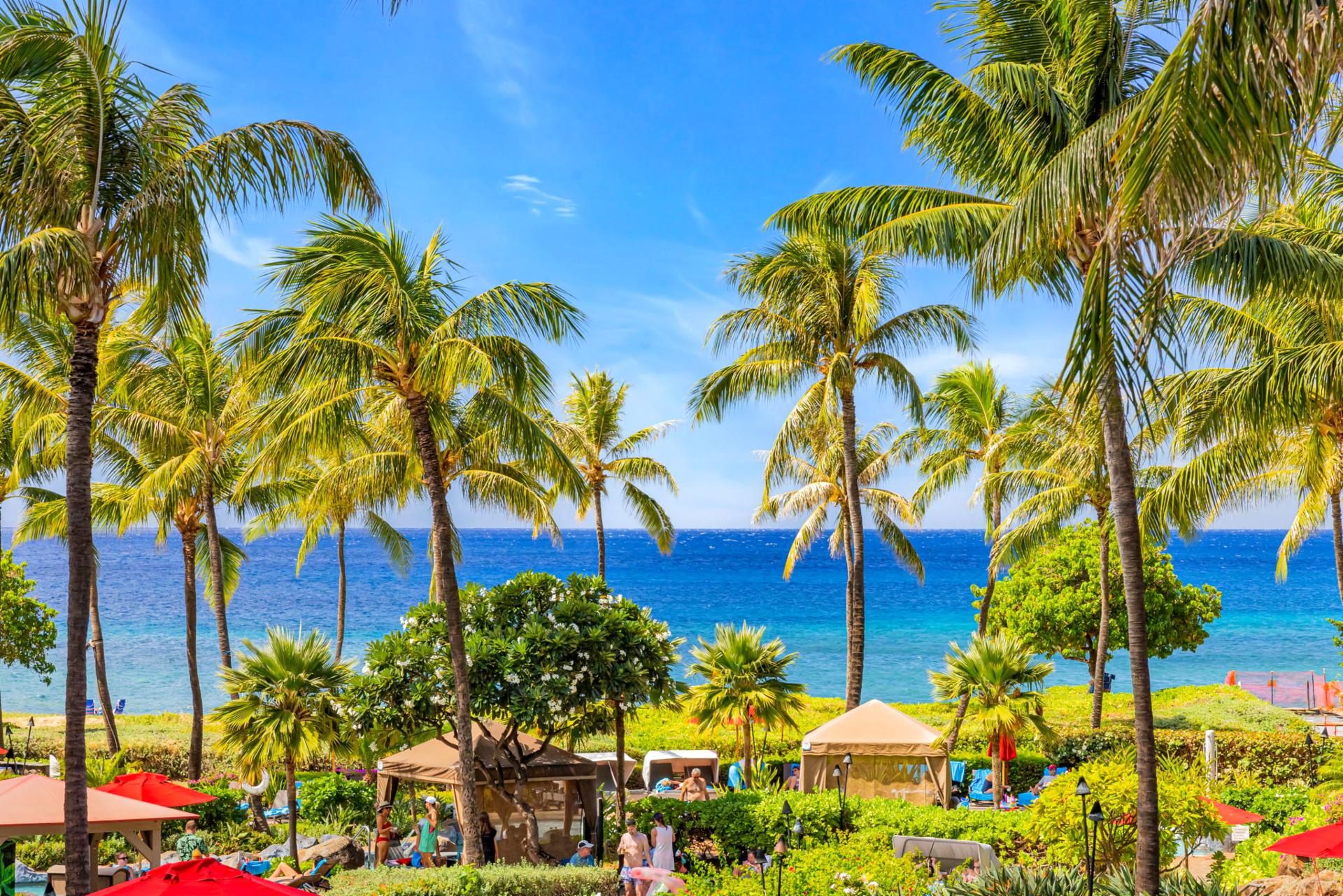 Een tropisch resort met palmbomen, strandparasols en uitzicht op de oceaan.
