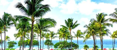 Un resort con palmeras, una piscina y vista al océano.