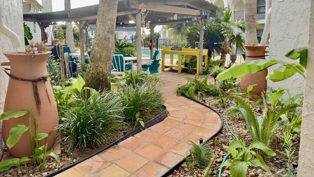 A covered outdoor area with a curved pathway, potted plants, and a yellow bench. - Starfish Stay | Tranquil Pool | Directly Across From Beach (Corpus Christi)