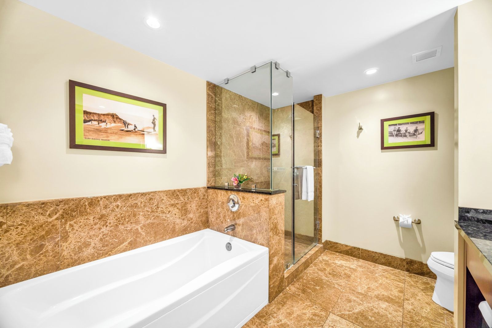 Une salle de bain moderne équipée d’une baignoire, d’une douche et de toilettes.