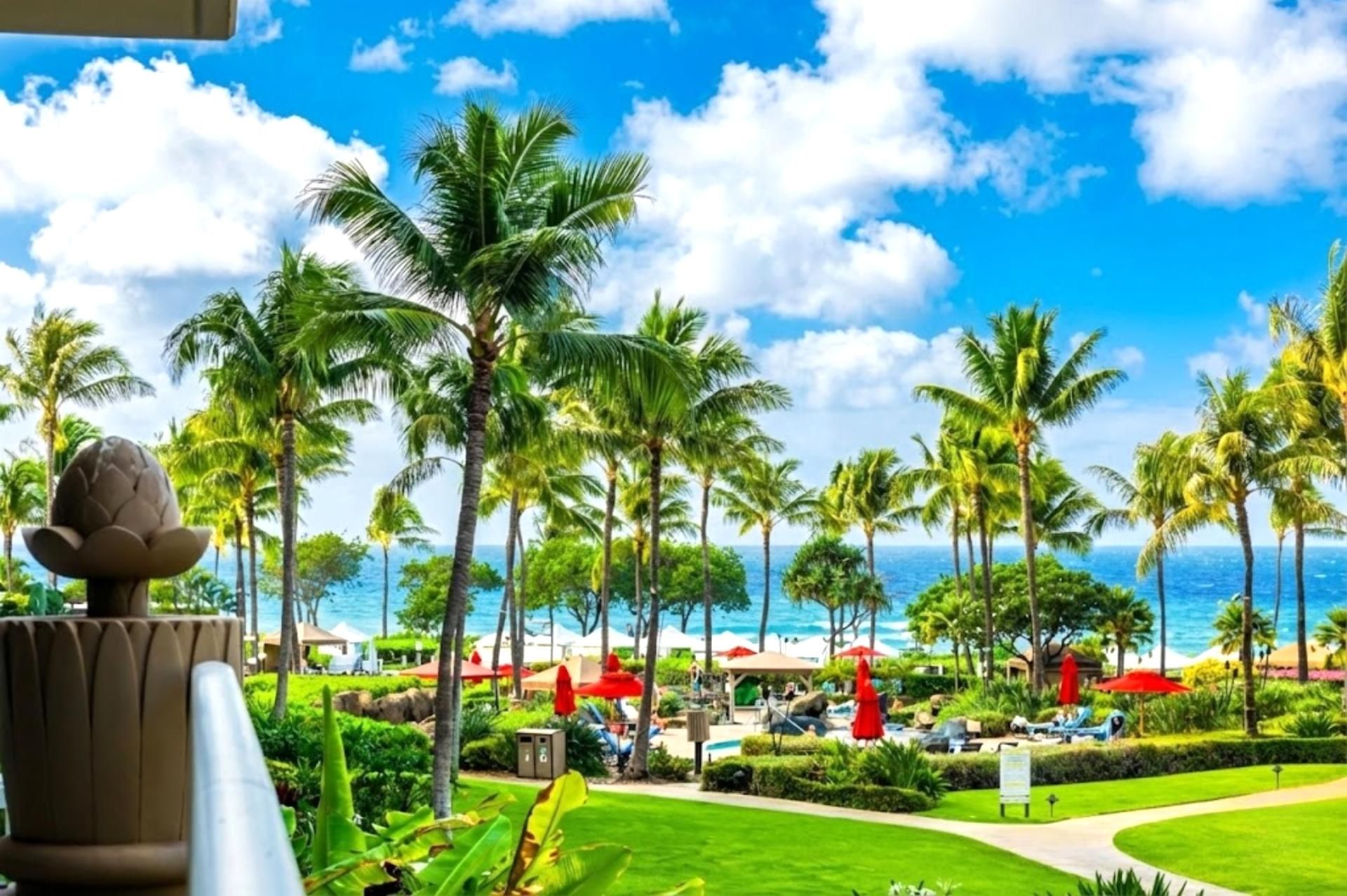 Ein Resort mit Palmen, einem Poolbereich und Blick auf den Ozean.