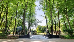 Un quartier résidentiel avec une signalisation accueillante, une entrée dallée et de grands arbres.