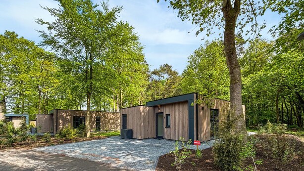 Une cabane moderne avec une allée en gravier, entourée d’une forêt dense.