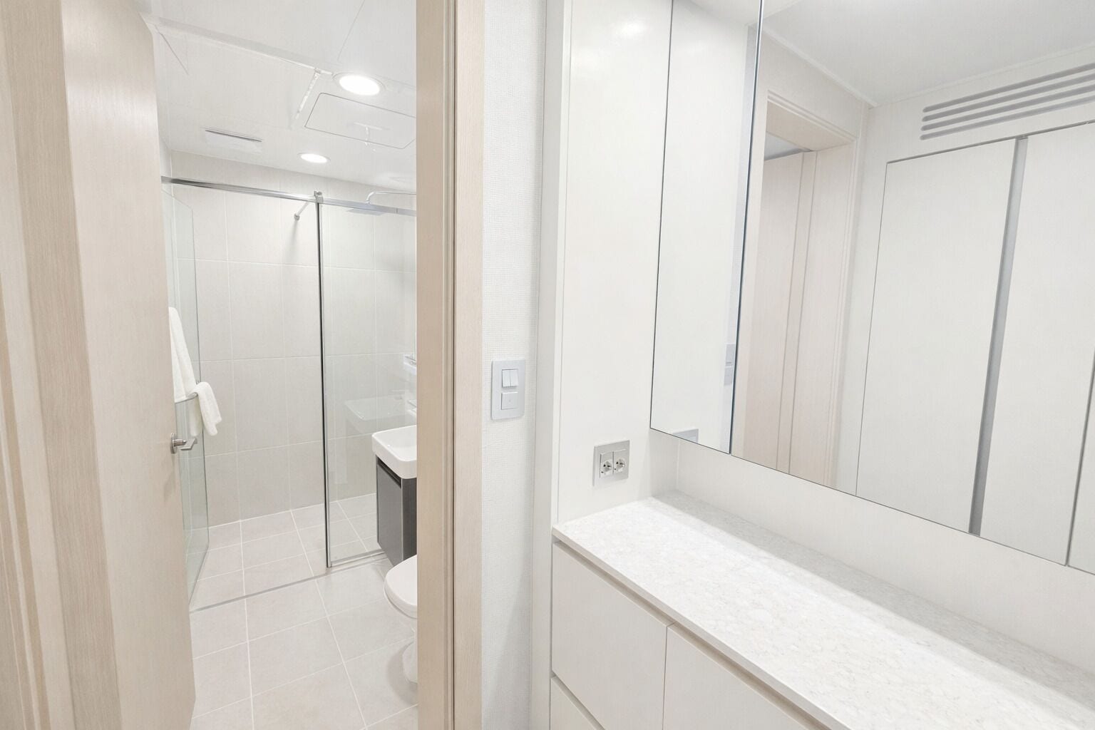 A modern bathroom with a glass shower enclosure, a white sink, and a large mirror.