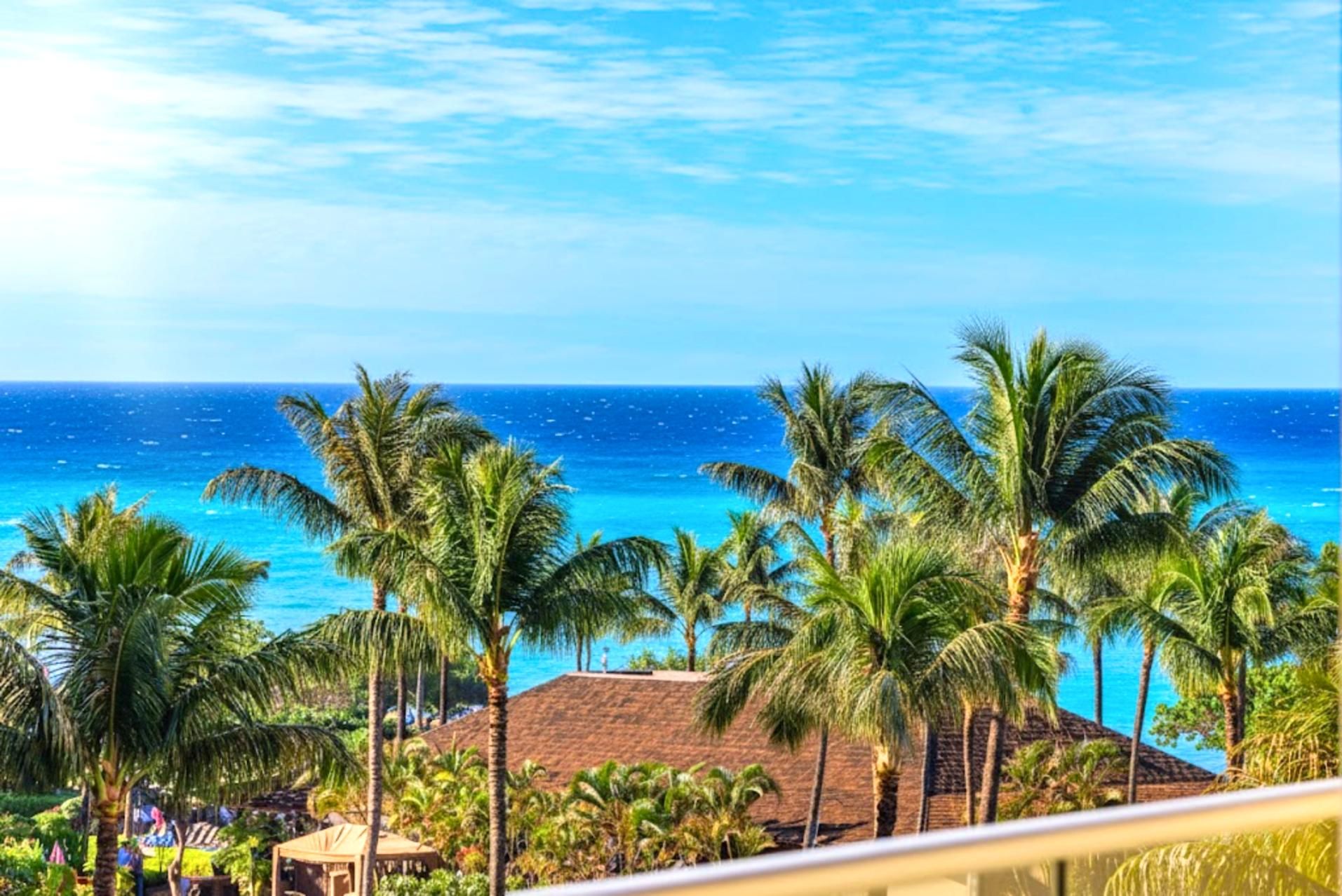 A tropical resort with palm trees and a view of the ocean.