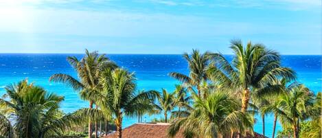 A tropical resort with palm trees and a view of the ocean.